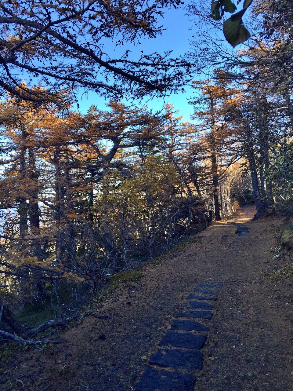 Mt Fuji 5th Station Trekking Tour Houdini